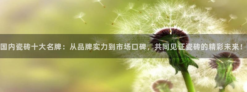 金年会网站