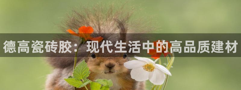 金年会软件在线下载