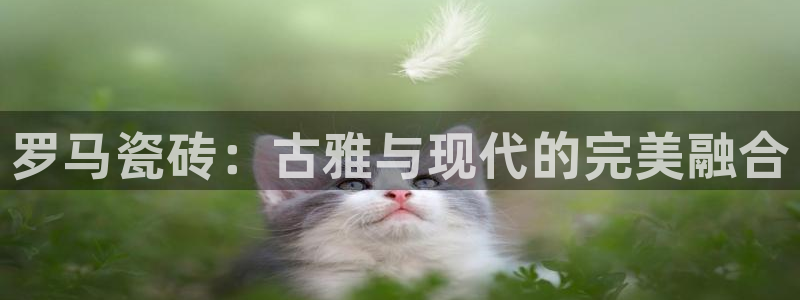 金年会6766澳门联合