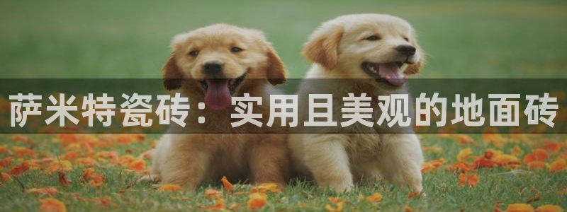金年会 中国 金年会
