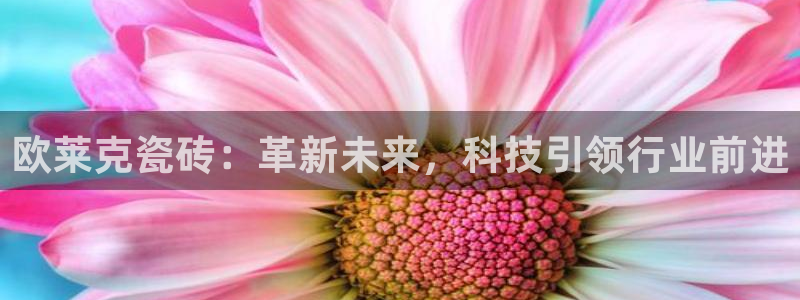 金年会官方网址登录路线