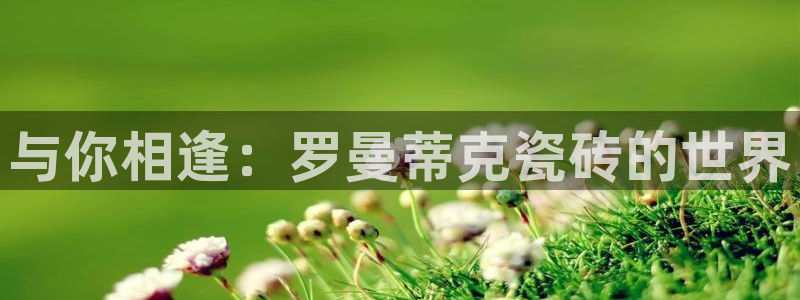 金年会官方在线登录