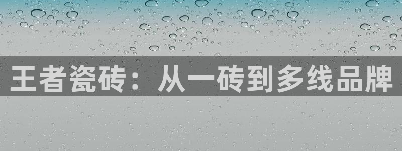 金年会官方网站登录