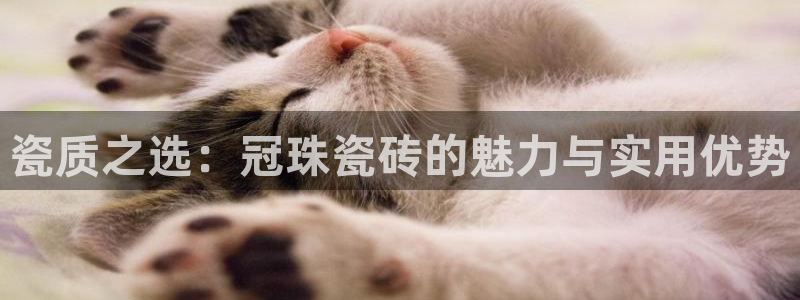 金年会体育app下载