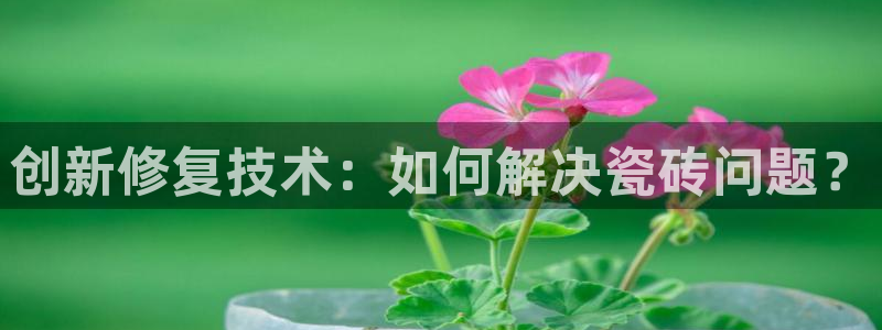 金年会是正规平台吗