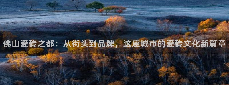 金年会体育app官网