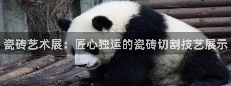 金年会在线登录