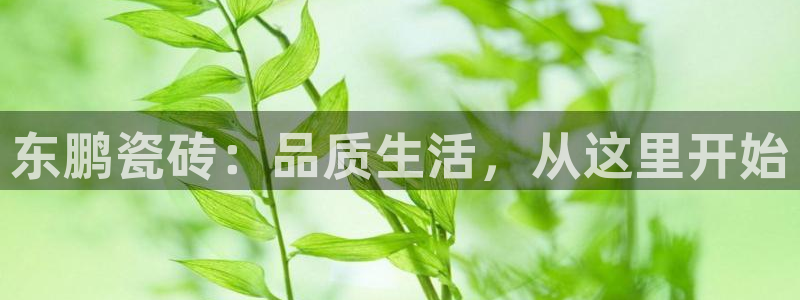 金年会APP安装下载