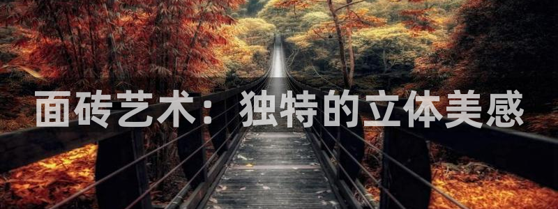 金年会电子游戏