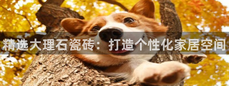 金年会金字招牌至上