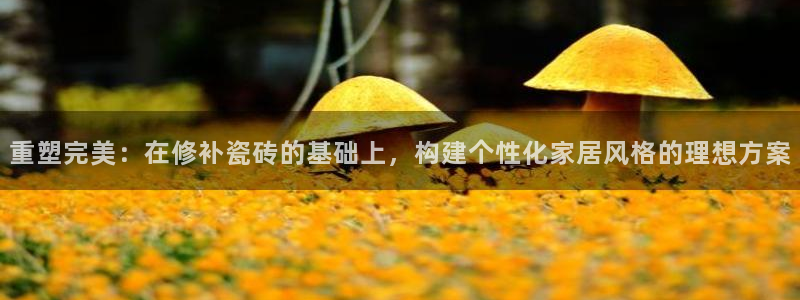 金年会娱乐官网