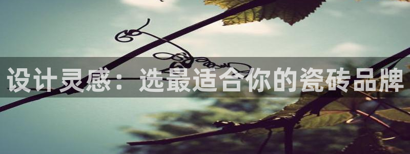 jinnianhui 金年会