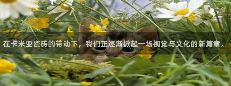 金年会登录平台入口