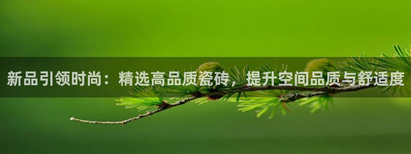 金年会活动策划