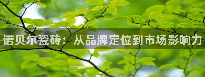 金年会综合APP
