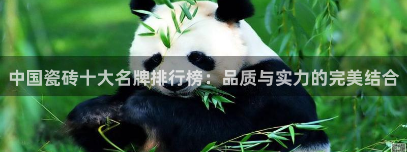 金年会在线入口