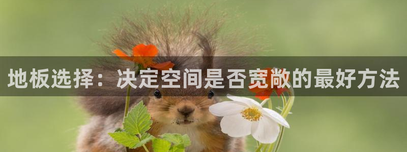 金年会6766澳门联合