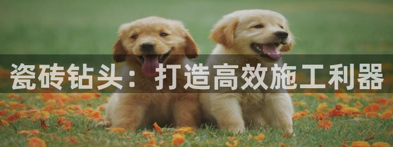 金年会体育平台