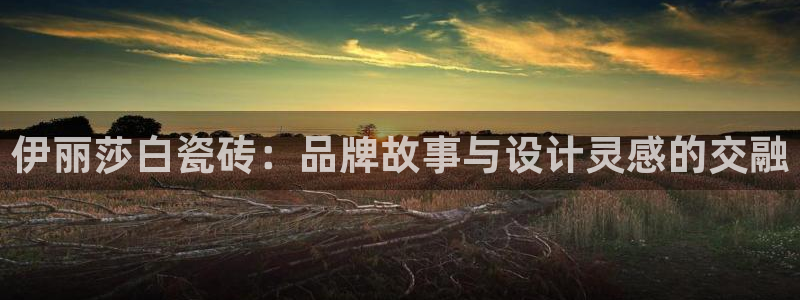 金年会在线下载