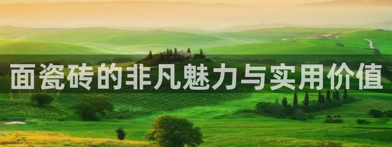 金年会体育app下载