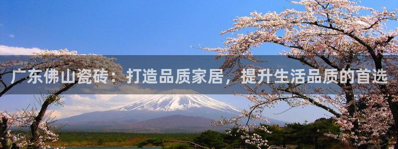 金年会体育平台在线登录