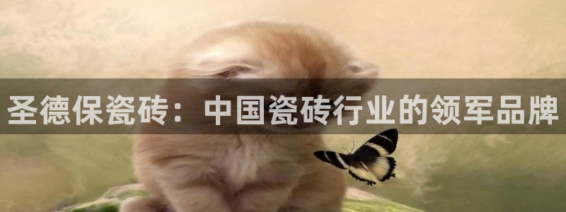 金年会 金字招牌