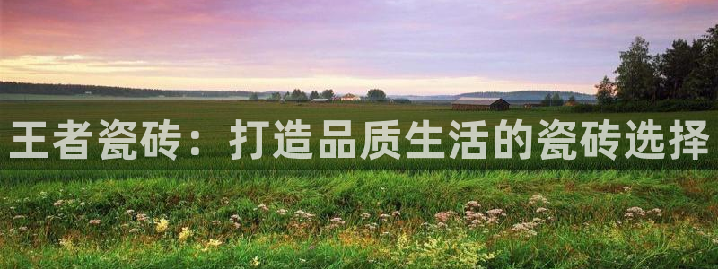 金年会体育苹果下载