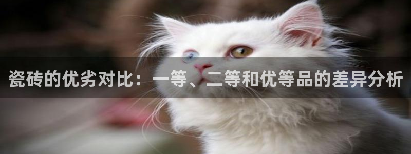 金年会官方体育登录入口