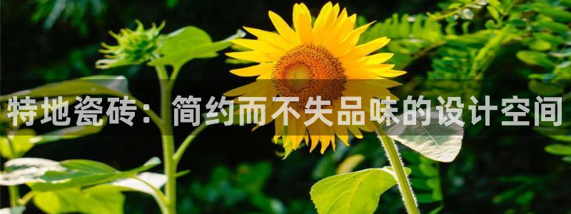 金年会手机登录