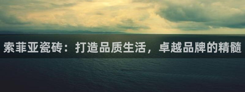 金年会体育官网