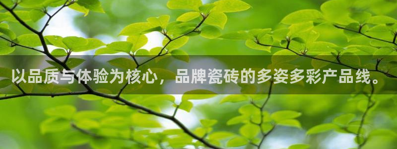 金年会网页版登陆
