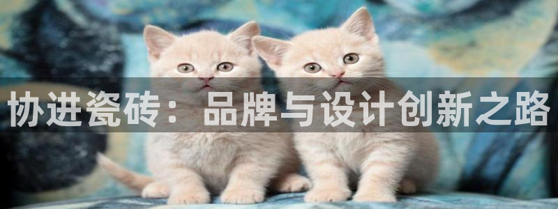 金年会在线登录