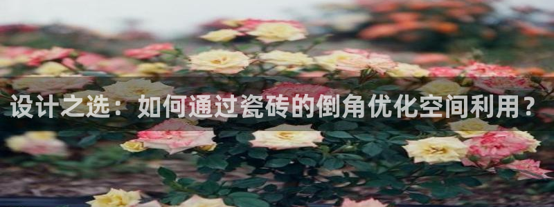 金年会能提款吗