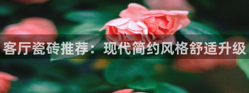 金年会体育app官网
