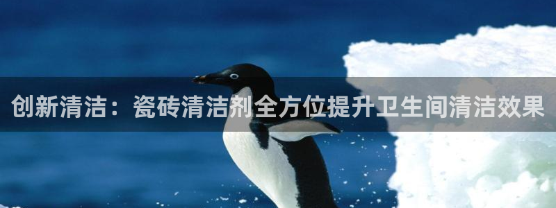 金 金年会