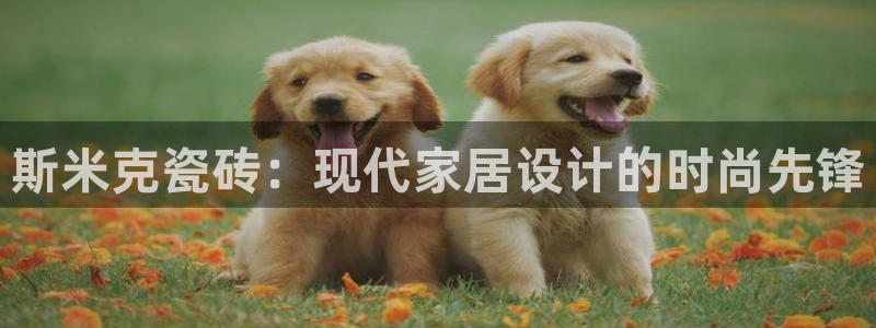 金年会app下载官网