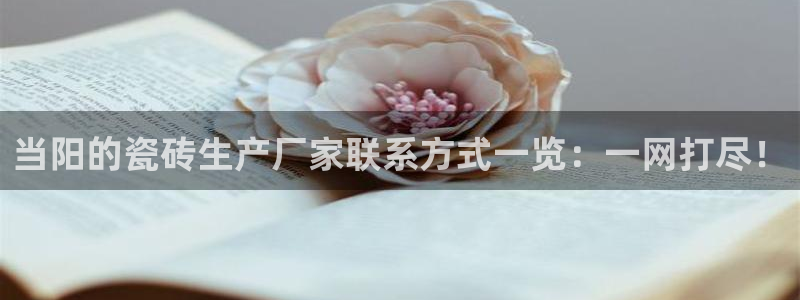 金年会菲律宾