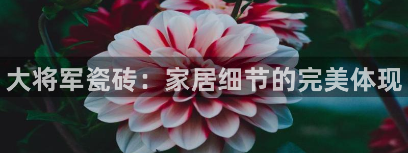 金年会最新登录网站