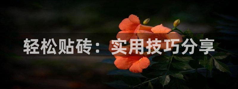 金年会18 28