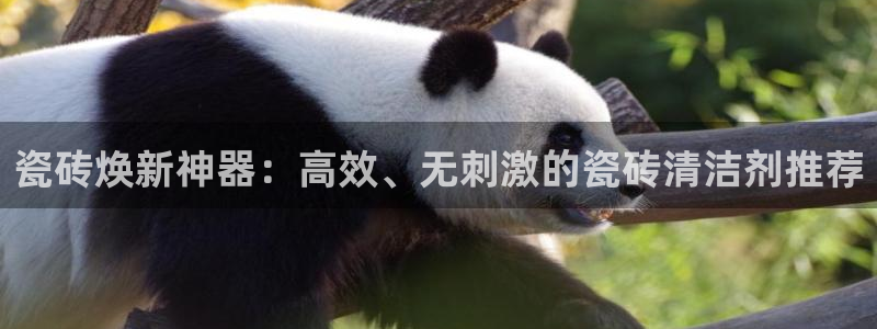 金升年会