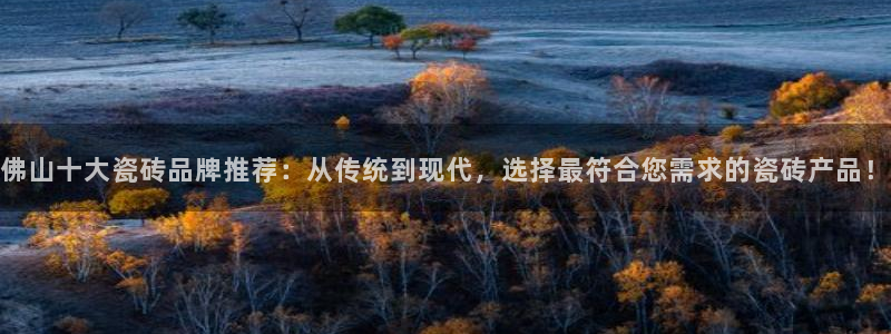 金年会综合APP