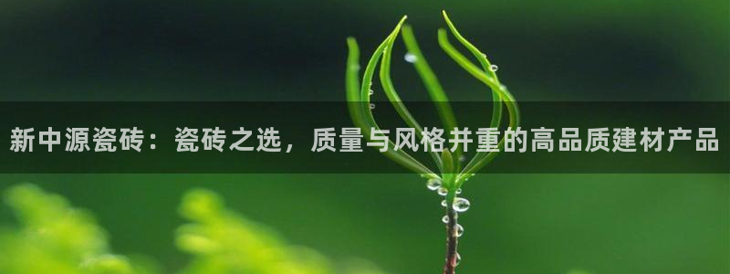 金年会app下载官网