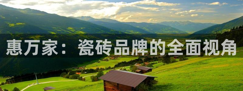金年会提款慢
