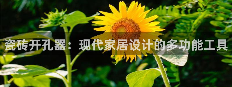金年会游戏官网